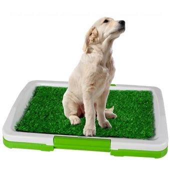 Baño Ecológico Entrenador Para Mascotas Perros Con Césped Lavable - compralo-peru